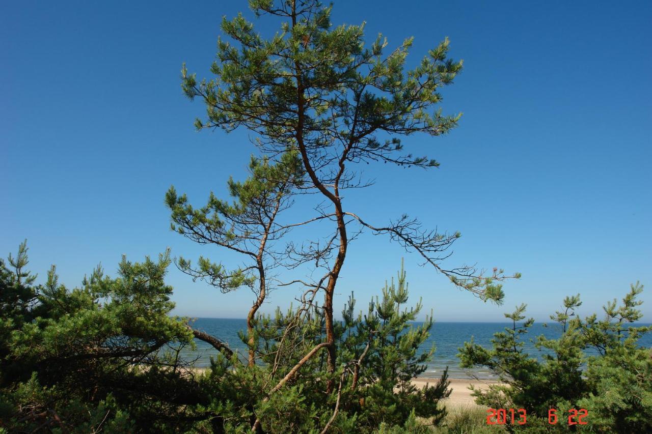 Pajurio Vingis Aparthotel Palanga Ngoại thất bức ảnh
